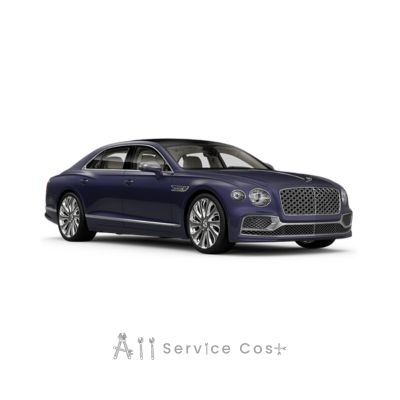 Bentley Continental Flying Spur II Luxury Car Collection Of Mukesh Ambani II 